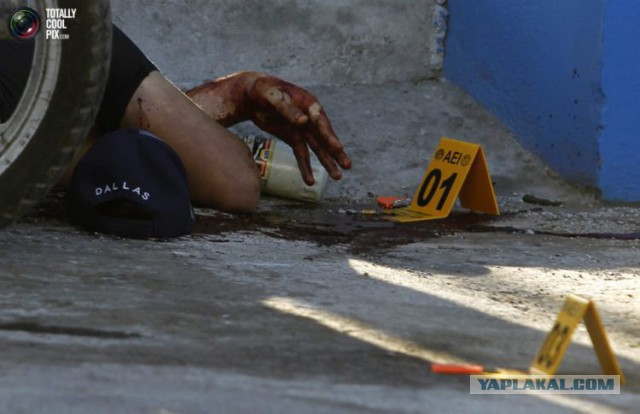 Уроки ведения Instagram от мексиканских драгдилеров