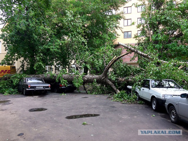 Сильная гроза в Москве и ее последствия