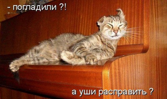 Картинки из инета