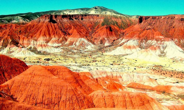 Моменты, запечатлённые на фото и просто позитив 5