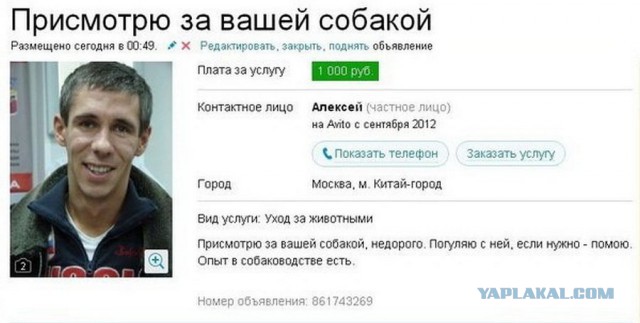 Алексей Панин согласился заменить Малахова на Первом за «хорошие деньги»