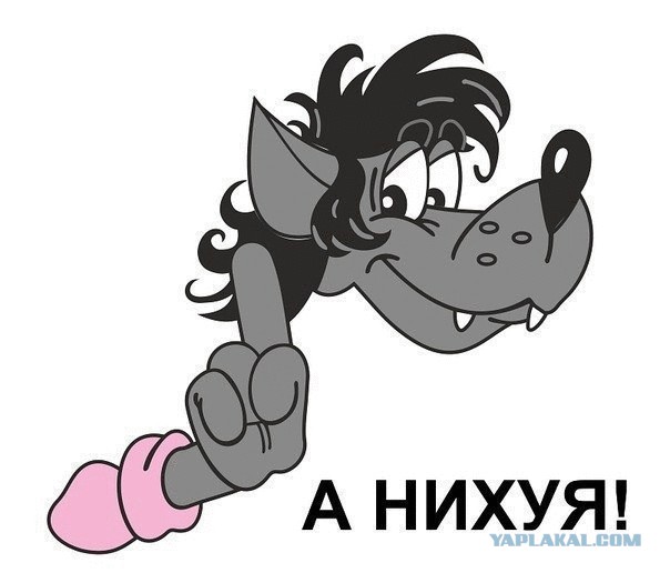 Какие же мы, мужики, тупые!