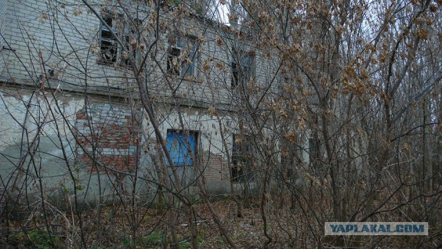 20 век в цвете. Расцвет Застоя или какой была наша страна 40 лет назад