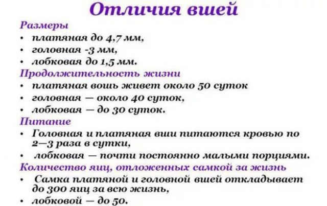 Ведущая оголилась в прямом эфире, подумав, что у нее в трусах паук