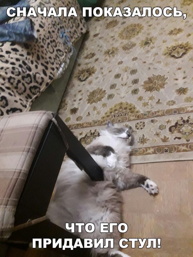 Картинок всяких