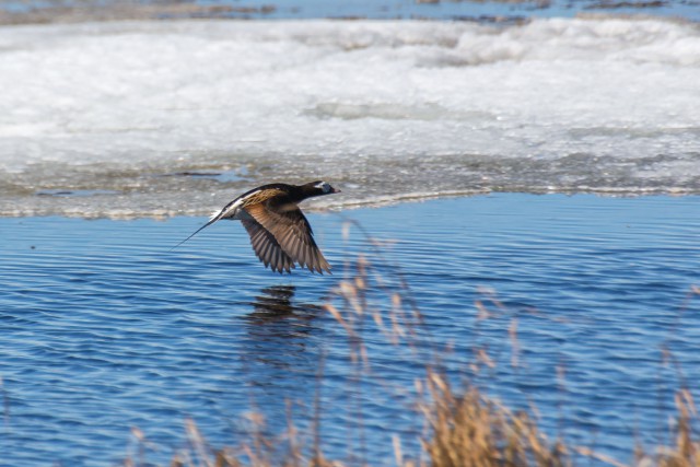 Просто Природа