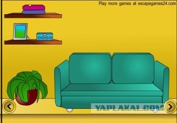 The Apartment