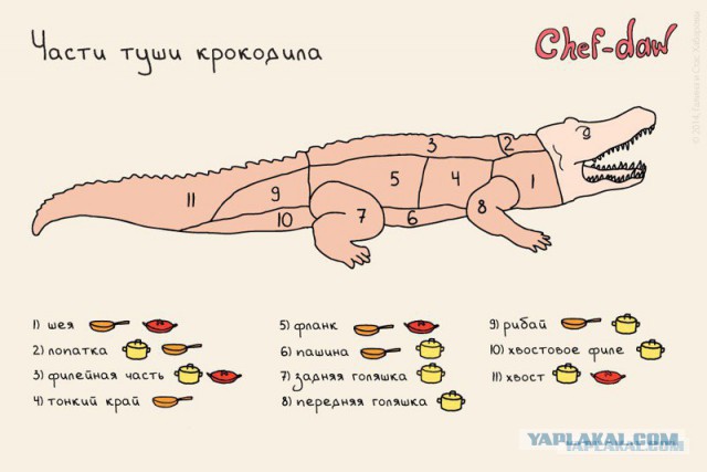 Китайский рынок морепродуктов