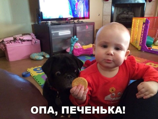Нестандартный юмор