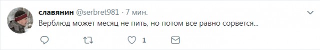 Много картинок в эту пятницу