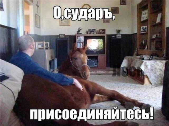 Нестандартный юмор