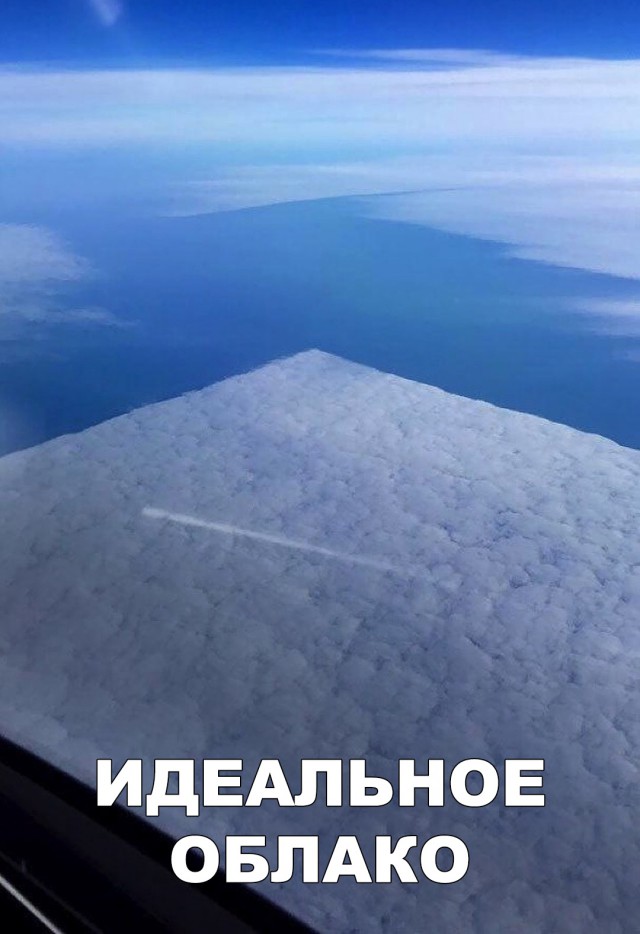 Прикольные картинки абавсём