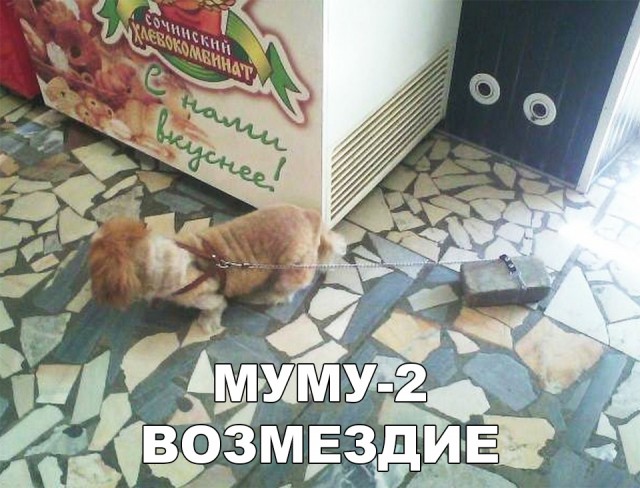Нестандартный юмор