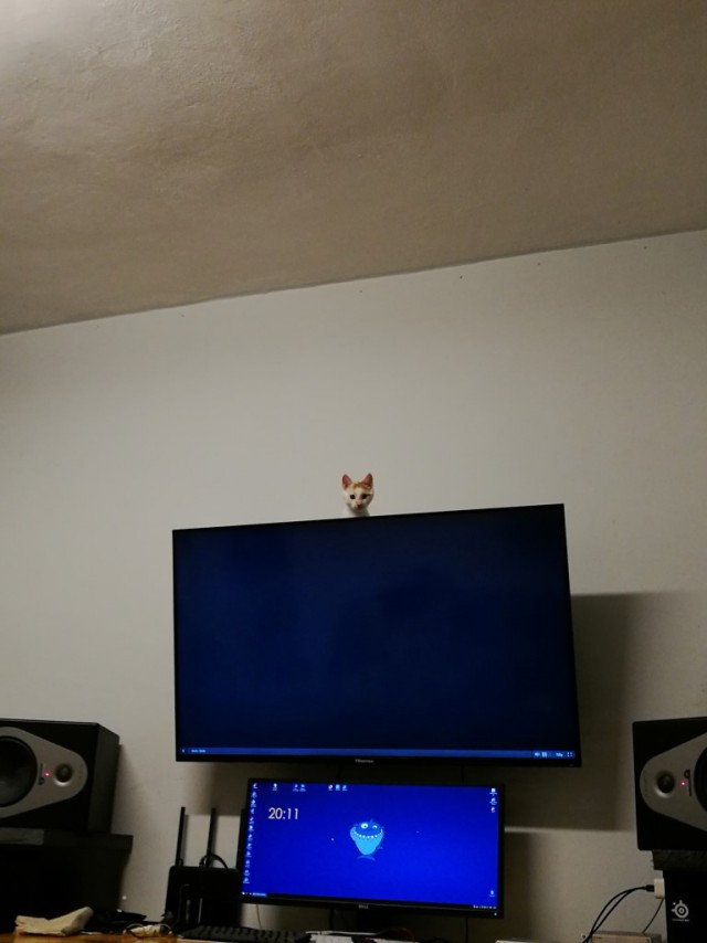 Трехцветное счастье