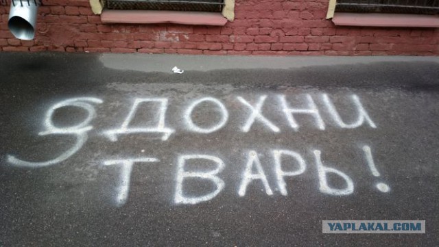 Разные картинки