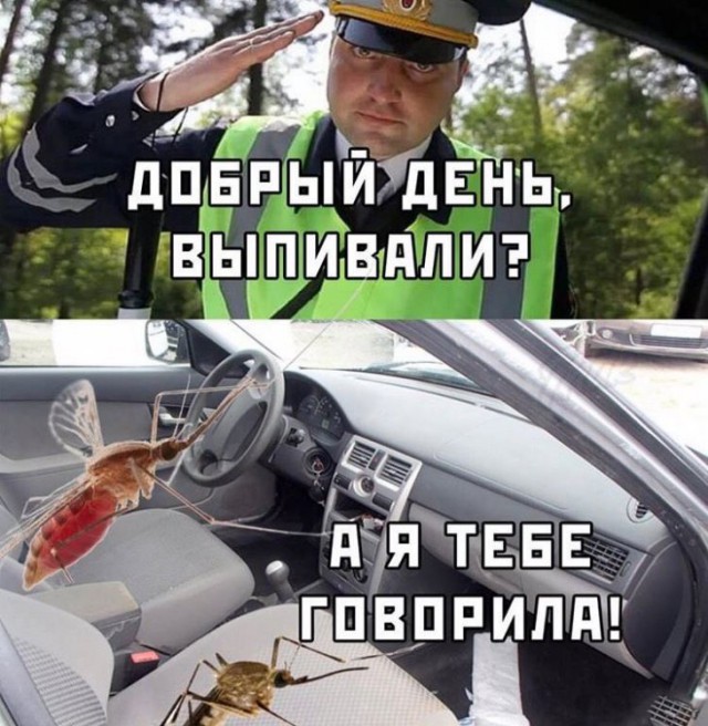 Картинки с надписями, истории и анекдоты