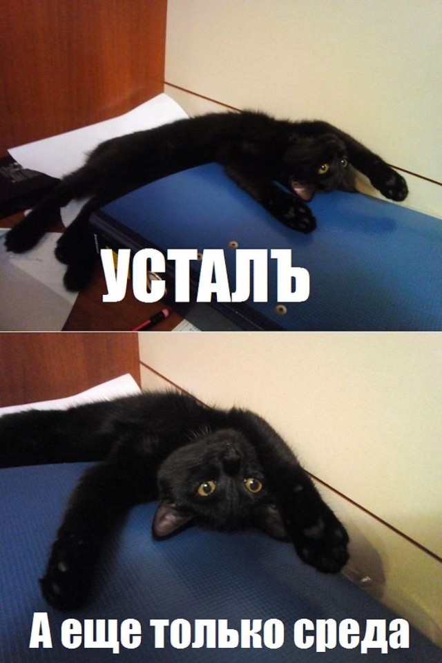 Картинки и мемы для настроения 25