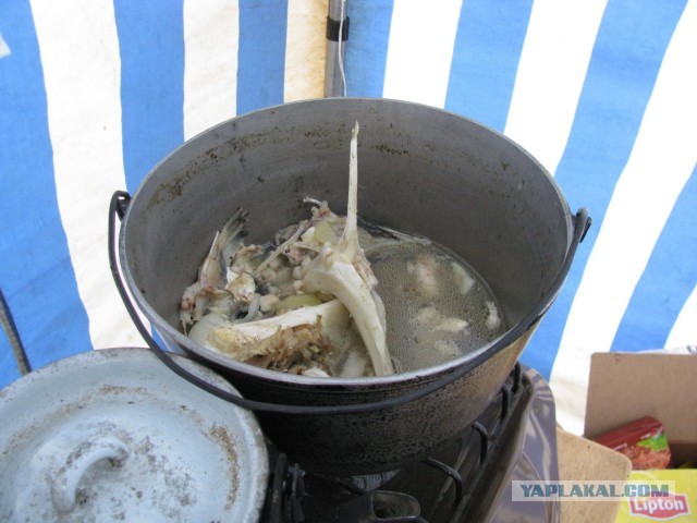 Отдых и рыбалка
