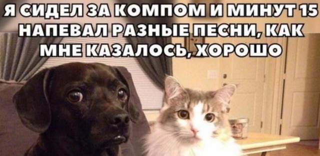 Бредзона 15.10.20