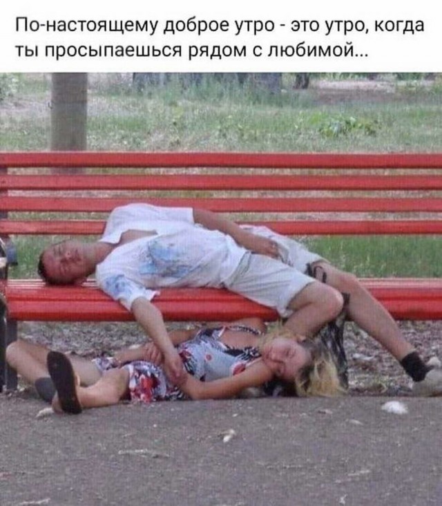 Скотсети и прочие интернеты 16.11.2020