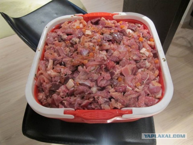 Тушенка за 16.98 vs Кошачая еда