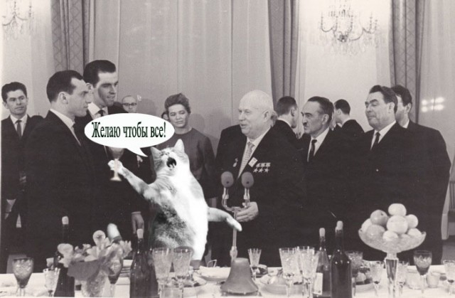 Кот поёт