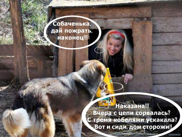 Фотожаба: Собака с Девушкой