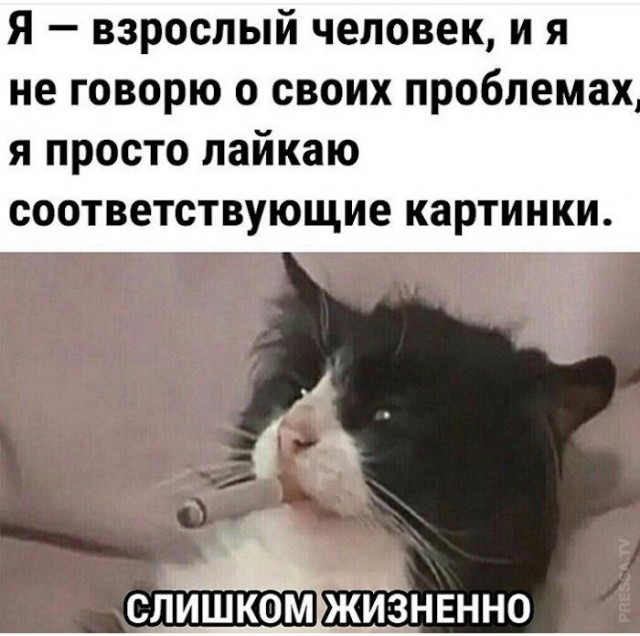 Картинки и мемы для настроения 005