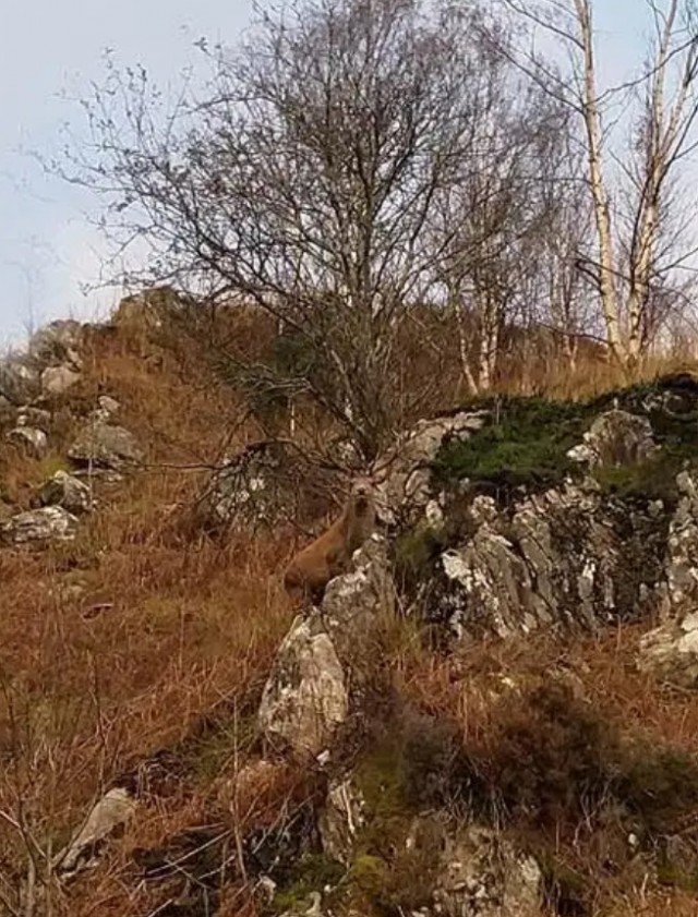 Утро вам не «это»!