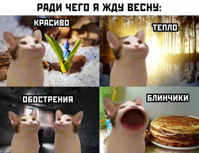 Кретинизмы из ЛМ и ЛЩ 22.02.21