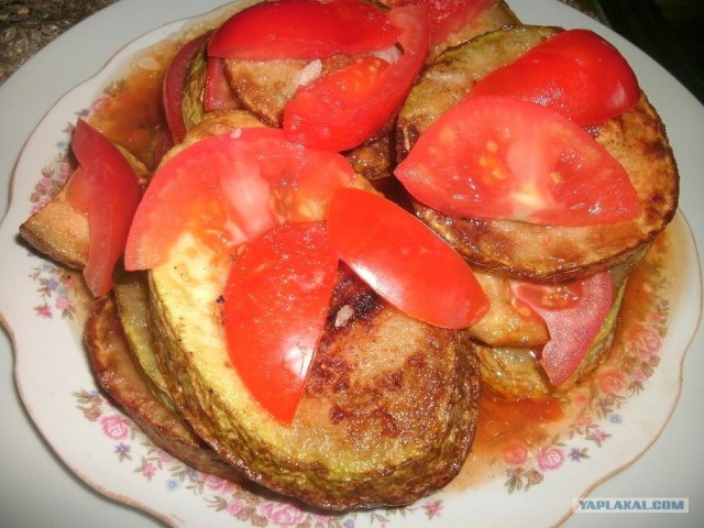Вся правда о КАБАЧКАХ и ЦУККИНИ