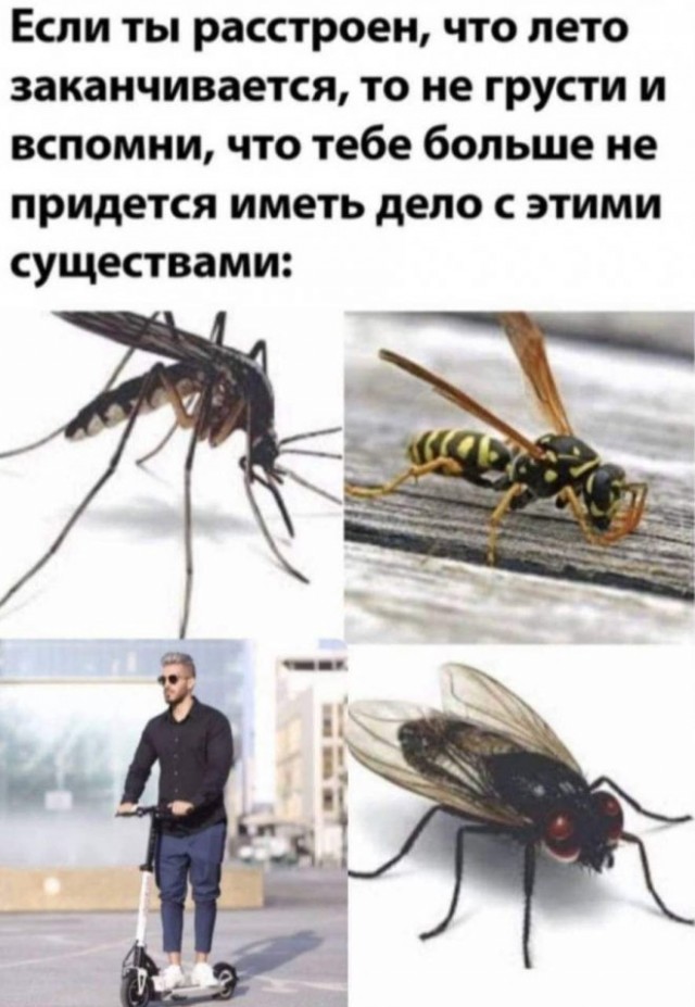 Картинки и мемы для настроения 23.08.2021