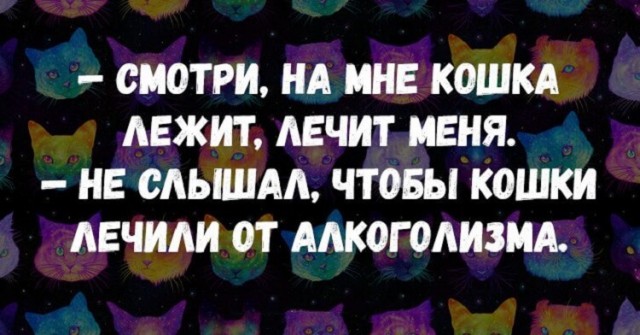 Баянисто-небаянистый юмор 23.08.21