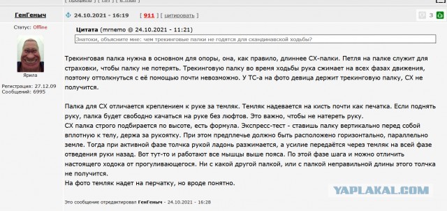 Скандинавская ходьба
