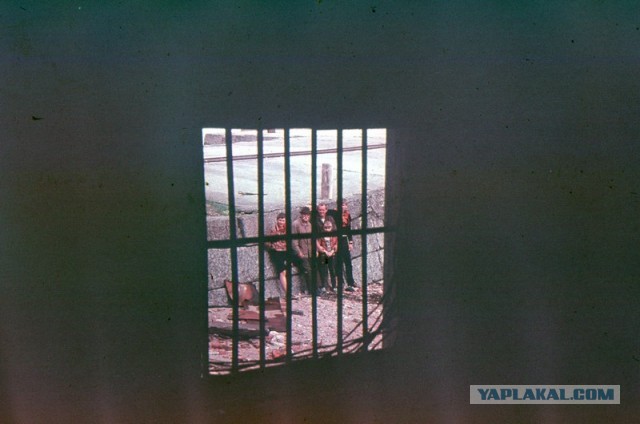 Форт «Император Александр I» (чумной) в Финском заливе