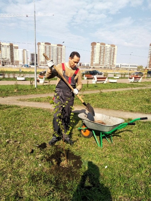 Свежая зелень