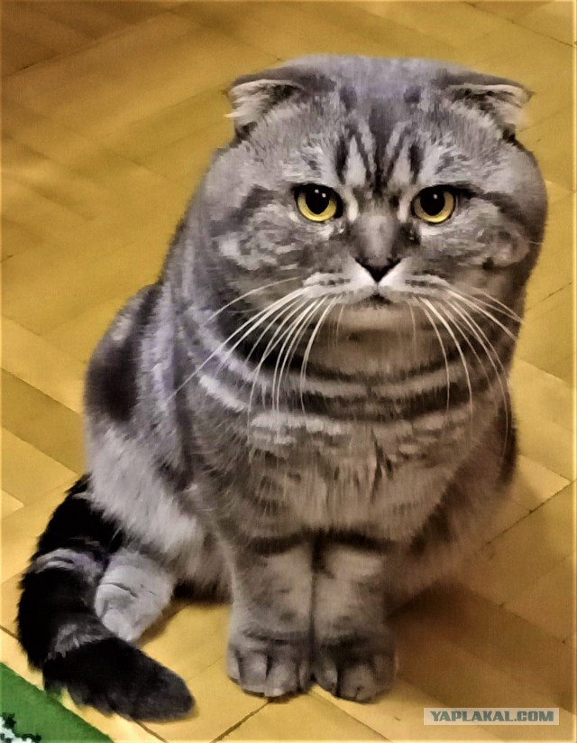 Одного фото пост