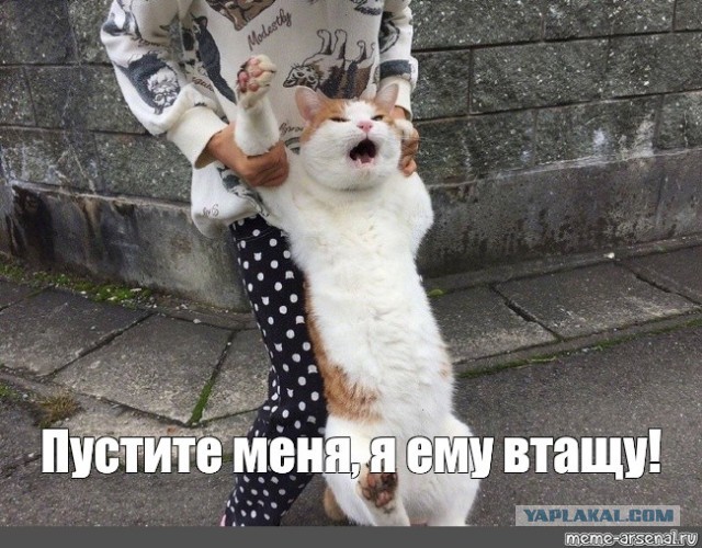 Массовая драка на турнире в Москве