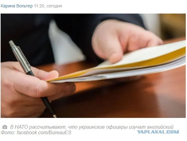 В НАТО дают украинским офицерам на изучение английского языка три года