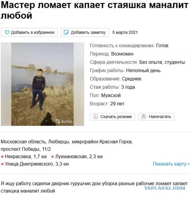 Я твой квартира ремонт делал