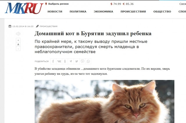 Шерстяной охранник