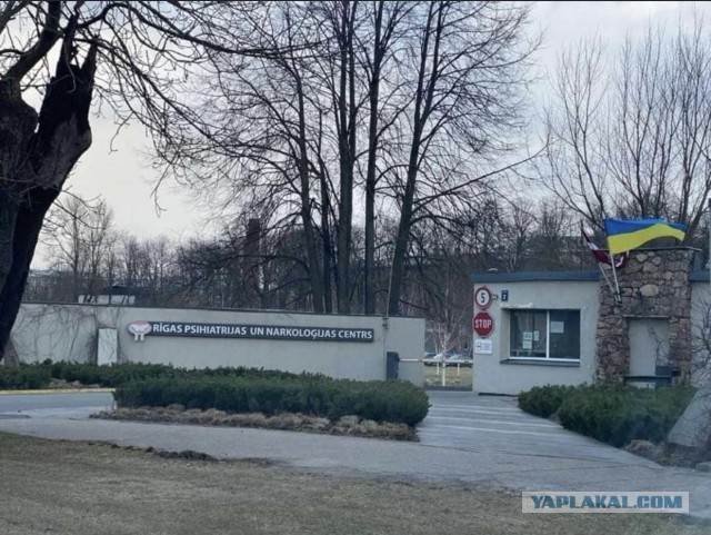 Генпрокуратура Чехии предупреждает об уголовной ответственности за "пророссийские" высказывания