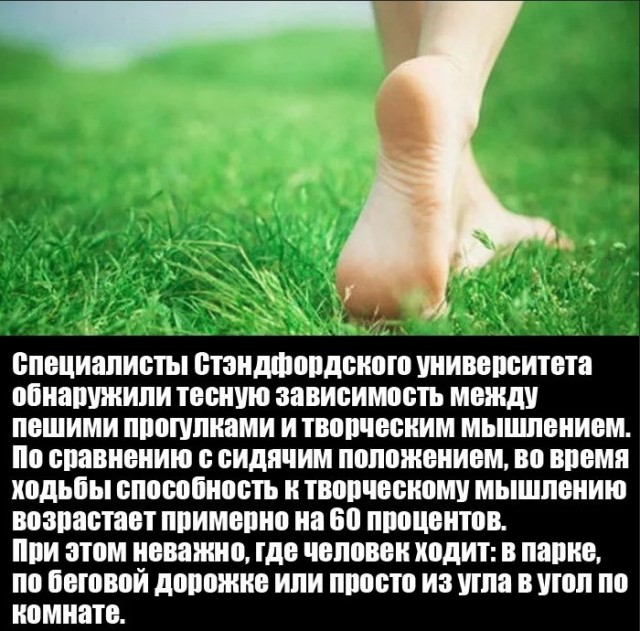 70 удивительных фактов