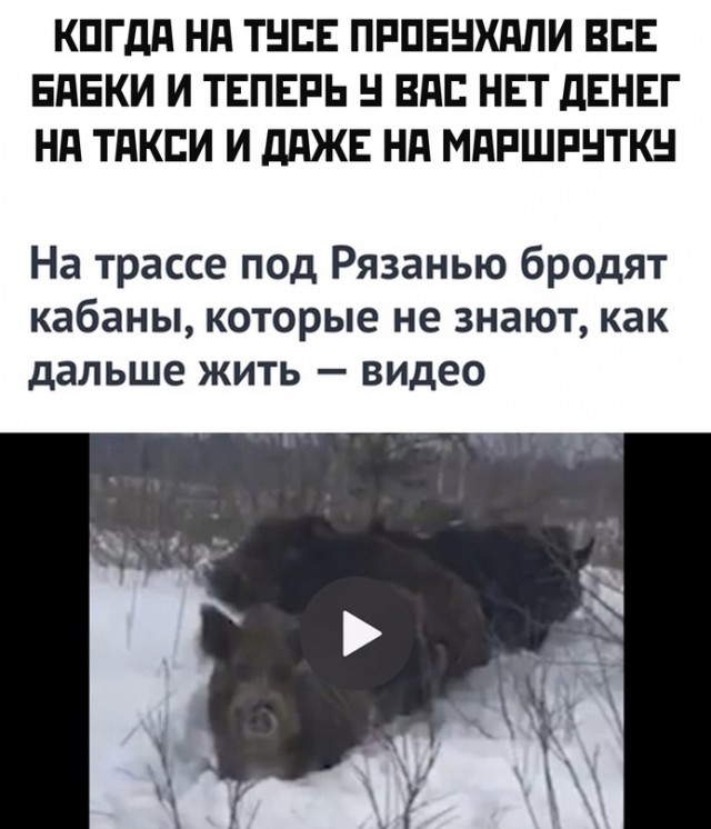 Картинки и мемы для настроения - 14