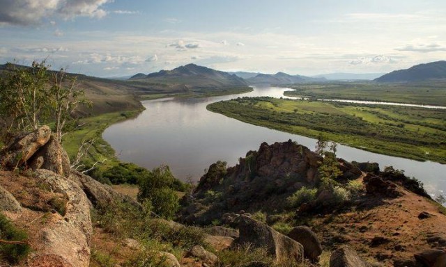 Пандемия съехавших крыш. Разновидности болезни. Россия и мир. Часть 36