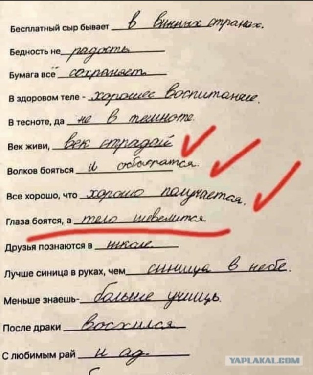 Немного забавных картинок