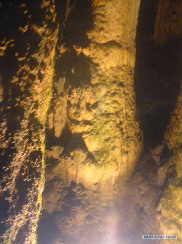 Переезд в Болгарию