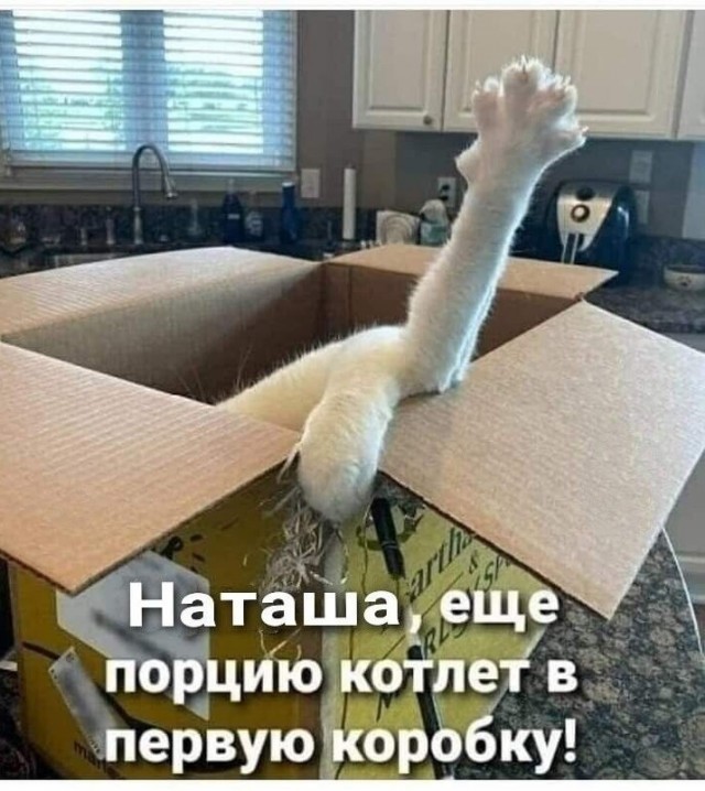 Юмор в картинках и без