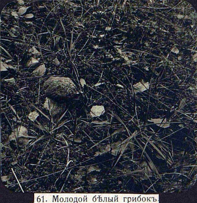 Снимки Захария Захариевича Виноградова. 1910-е. На Волге