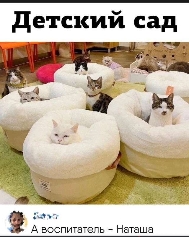 О жизни семейной, которая нужна не мне.
